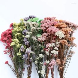 Decorative Flowers Natural Plants Dried Flower Bouquet Dry Rice Arrangement For Home Garden Party Wedding Decoration Artificial Decor