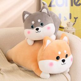 Plush Dolls 50cm/60cm Lifelike Animal Husky Alaskan Malamute Dog Lovely Soft Stuffed Doll Cute Plush Toy Kid Boy Girl Birthday Gift H240521