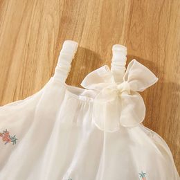 New Summer For Baby Girls With Ribbons Embellishments Floral Embroidery Ribbon Pompadour Dresses