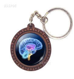 Human Head Pendant Anatomy Science Brain Keychain Gift Under Anatomy Keyring Wooden Key Chain Key Holder Doctor039s Gift9920787