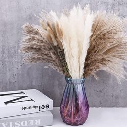 Decorative Flowers Dried Pampas Grass Bouquet Flower Wedding Arrangement Boho Decor Pompous For Home Room Table