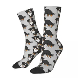 Men's Socks Bernese Mountain Dog Harajuku Super Soft Stockings All Season Long Accessories For Man's Woman's Gifts