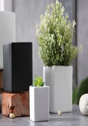 succulents pots Decorative fashion Simple white black flower pots planters succulent plant potted on the desk home decoration Thre8934080