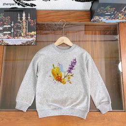 Top autumn kids sweater Vegetable and fruit pattern printing sweatshirts for boy girl Size 100-160 CM designer child pullover Oct05