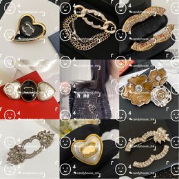 High Quality Pins Brooches Various New Internet Celebrity Women Broche Fashion Designer Pins Pearl Crystal Copper Woman Accessories For Dinner Party