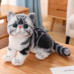 Plush Dolls 26cm filling lifespan cat plush toy simulation American short hair cute cat doll pet toy home decoration girl birthday gift H240521 4U0M