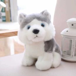 Plush Dolls 18/23/28cm Cute Simulation Puppy Dog Plush Toy Kids Dolls Husky Akita Saint Bernard Stuffed Soft Toys for Children High Quality H240521 5897