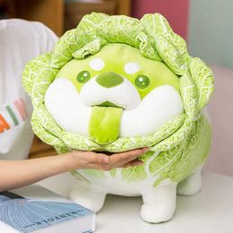 Plush Dolls 22cm-55cm Cute Green and White Chinese Cabbage Dog Plush Toy Soft Cartoon Vegetable Plants Stuffed Doll Comfortable Pillow Gifts H240521