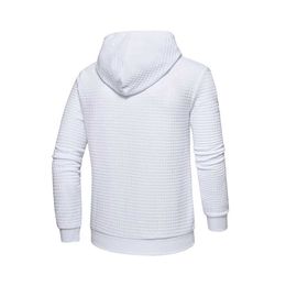 Men's Hoodies Sweatshirts Autumn Sports Casual Mens Sweatshirt Fashion Simple Solid Colour Long Sleeve Hoodie Slim Running Fitness Knitted Top Pullover Q240530