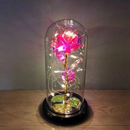 Decorative Objects Figurines Fairy string light with glass cover Led charming Milky Way rose thin flexible handmade plastic flower home decoration H240521 8UYS