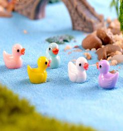 50pcslot Cute Ducks Miniatures PVC Action Figures Animal Figurines Micro Landscape Mini Figurine Dollhouse Fairy Garden Decor8220055