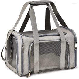 Cat Carriers Pet Carrier For Cats Dogs And Puppies Gray (Suitable Daily Travel) 22 Lbs