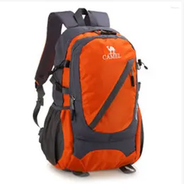 Backpack Wholesale Sports Leisure Travel Men's Waterproof Large Capacity Hiking Bag Women's Outdoor