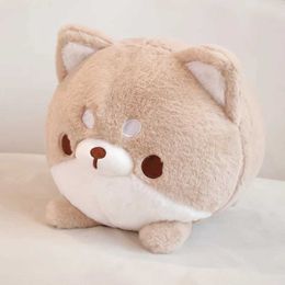 Plush Dolls Kawaii animation simulates chubby dog plush toys cute cartoon puppy stuffed dolls baby animal pillows childrens birthday gifts H240521 USPT