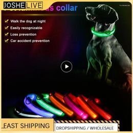 Dog Collars LED/Battery Collar Light Anti-lost For Dogs Puppies Nylon Night Safety Luminous Supplies Pet Products Accessories