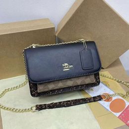 Luxury Handbag Designer C New Bag Women's Dual Colour Small Square Bag Vintage Klare Chain Organ Bag Factory Promotion4RSP