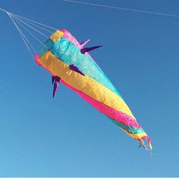 Kite Accessories large kite windsocks kite tails ripstop nylon fabric inflatable kite accessories 3d kite pendant kite trilobites SJ03