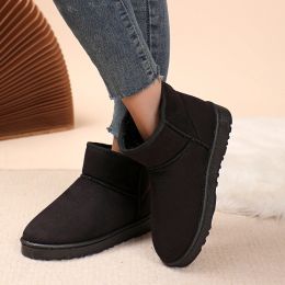 Australia Tasman Slippers Chestnut Fur Slides Tazz Sheepskin Shearling Mules Women Ultra Mini Platform Boots Slip-on Shoes boots Suede Upper Fall Winter Boots