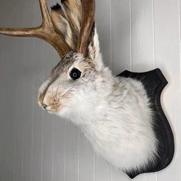 Creative Resin Crafts Animal Devil Rabbit Taxidermy Ornaments Home Deer Head Animal Wall Decoration Hanging Villa Wall Decor 240522