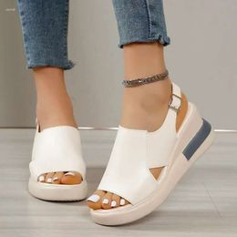 Solid Sandals Women 2024 Summer Wedge Colour Open Toe High Heels Casual Ladies Buckle Strap Fashion M 339