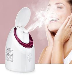 B13B Facial Steamer UV Nano Ionic face steamer warm mist Steam device For home humidifier Sauna SPA sinuses Moisturising Deep cle9429136