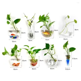 Vases Plant Care Visible Wall Mounted Hydroponic Flower Pot Arrangement