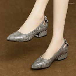 Casual Shoes 2024 Female Slingbacks Slip On Ladies Pumps Spring Autumn Pointed Toe Shallow Solid Office Low-heeled Fashion