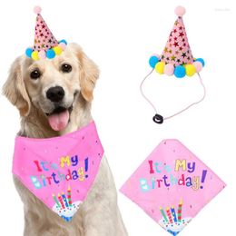 Dog Apparel Pet Birthday Party Dress Hat Caps And Scarf Cute Bib Cat Saliva Towel Funny Pography Props Gift Puppy Costume