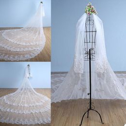 2020 New Wedding Veils Cathedral Length Bridal Veils Appliques Lace Edge Appliqued 3m 2 Layers Long Wedding Veil Customized 259F