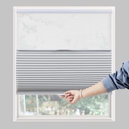 Persilux Day/Night Cellular Shades Blackout Top Down Bottom Up Honeycomb Blinds for Windows Cordless Window Shades with Sheer 240520