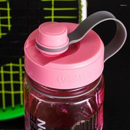 Water Bottles Outlet Factory Price Arrival 1000ml Big Capacity Sport Bottle With Scale Straw Tea Strainer Logo