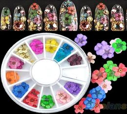 Nail Art Decorations Whole 36pcs 3D Sticker Dried Flower DIY Tips Acrylic Decoration Wheel 7GV6 9K9R3060804