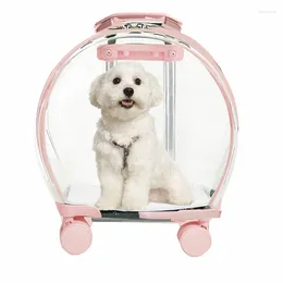 Dog Apparel Pet Trolley Box Transparent Portable Out Bag Cat Backpack Large Aviation