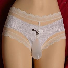 Underpants Men Lace Panties Sexy Sissy Lingerie Gays Imitates Elephant Trunk Underwear See-Through Erotic Hombre