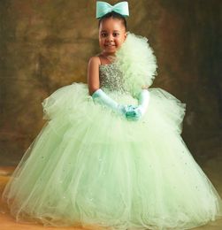 2024 Sage Flower Girl Dresses For Weddings Silver Rhinestone Crystal Beads Tulle Ball Gown Girls Pageant Dress Kids Communion Gowns Floor Length