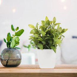 Decorative Flowers Premium Realistic Convenient Fake Plants Faux Plant Farmhouse Kitchen Decor Artifical For Home