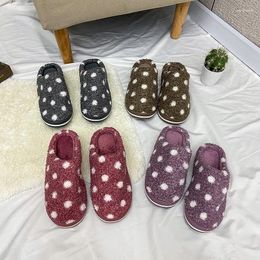 Slippers 2024 Fashion Polka Dot Cotton Winter Home Indoor Unisex Flat-bottomed Non-slip Warm Plus Shoes