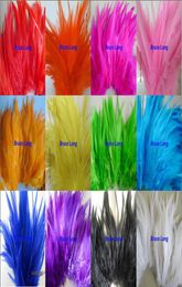 Mix Colours Rooster Feathers Pheasant Feather DIY Necklace Earring Hair Hat Mask Decor Feather Trim Boa 1000pcs 46Inches 1015CM3720690