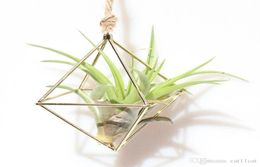 Hanging Tillandsia Air Plants Rack Metal Geometric Iron Art Flower Planter Pot Gardening Accessories Home Office Decoration3805686