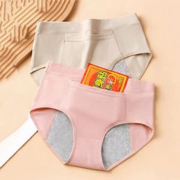 Women's Panties 2Pcs Menstrual Women Period Underwear Leak Proof Physiological Pants High Waist Breathable Cotton Soft Female Lingerie
