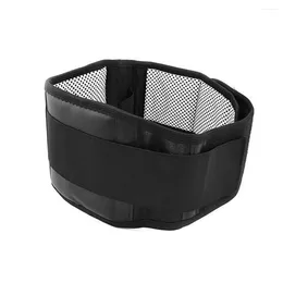 Waist Support Lumbar Belt Self-Heating Protection Strap Warm Adjustable Compression Back Brace