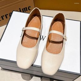 Casual Shoes 2024 Women Low Heel Retro Mary Janes Leather Pumps Female Square Toe OL Wear Slip-on Single Spring Khaki