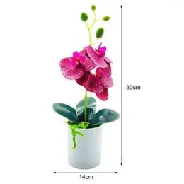 Decorative Flowers Beauty Simulation Bonsai Multicolor Fresh Keeping Fake Butterfly Orchid Anti-fade Reusable Artificial Plant For Home