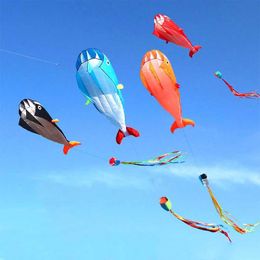 Kite Accessories large soft kite dolphin kite nylon kite line animated kites inflatable soft kite coloring kites Butterfly wings