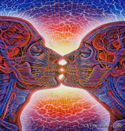 poster 32x24quot 17x13quot Trippy Alex Grey Wall Poster Print Home Decor Wall Stickers poster Decal0064203157