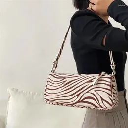 Bag Women Handbag Zebra Pattern Mohair Split Leather Small Casual Lady's Shoulder Purse French Designer Bolsos