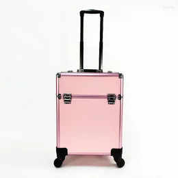 Storage Bags Professional Trolley Make-up Box Suitcase Beauty Nail Eyelash Film And Television Tools