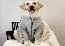 Designer Dog Clothes Fashion Brand Puppy Clothing Pets Appeal G Letter Jacket For Doggy Cats Suits Outwear Winter Windbreaker 21088913873