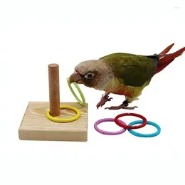 Other Bird Supplies Intelligence Training Toy Parrot Interactive Tabletop Toys Colour Rings Toss Wooden Base Games Random