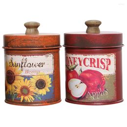 Storage Bottles 2 Pcs Small Flower Pots Vintage With Lid Creative Candy Iron Flowerpot Desktop Mini Bucket Succulent Container Office